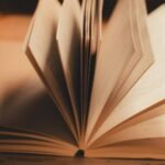 internal linking page authority