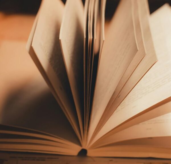 internal linking page authority